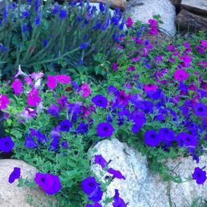 Meet your Posher, Leanne